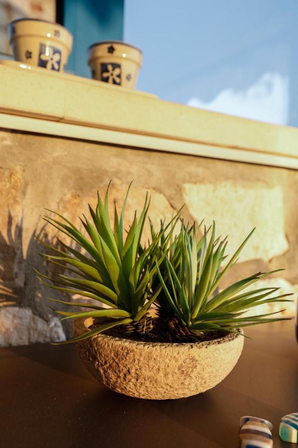 Penthouse In Old Dalmatian House - Flybridge Vakantiehuis *